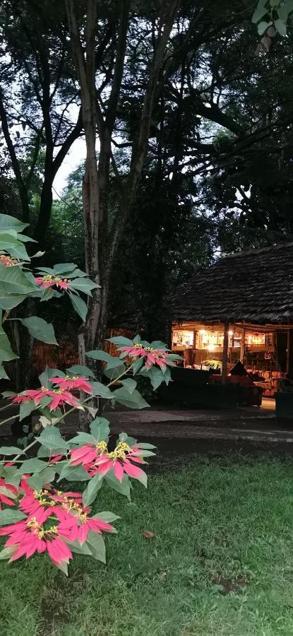 Ibrahim Garden Hostel Аруша Экстерьер фото